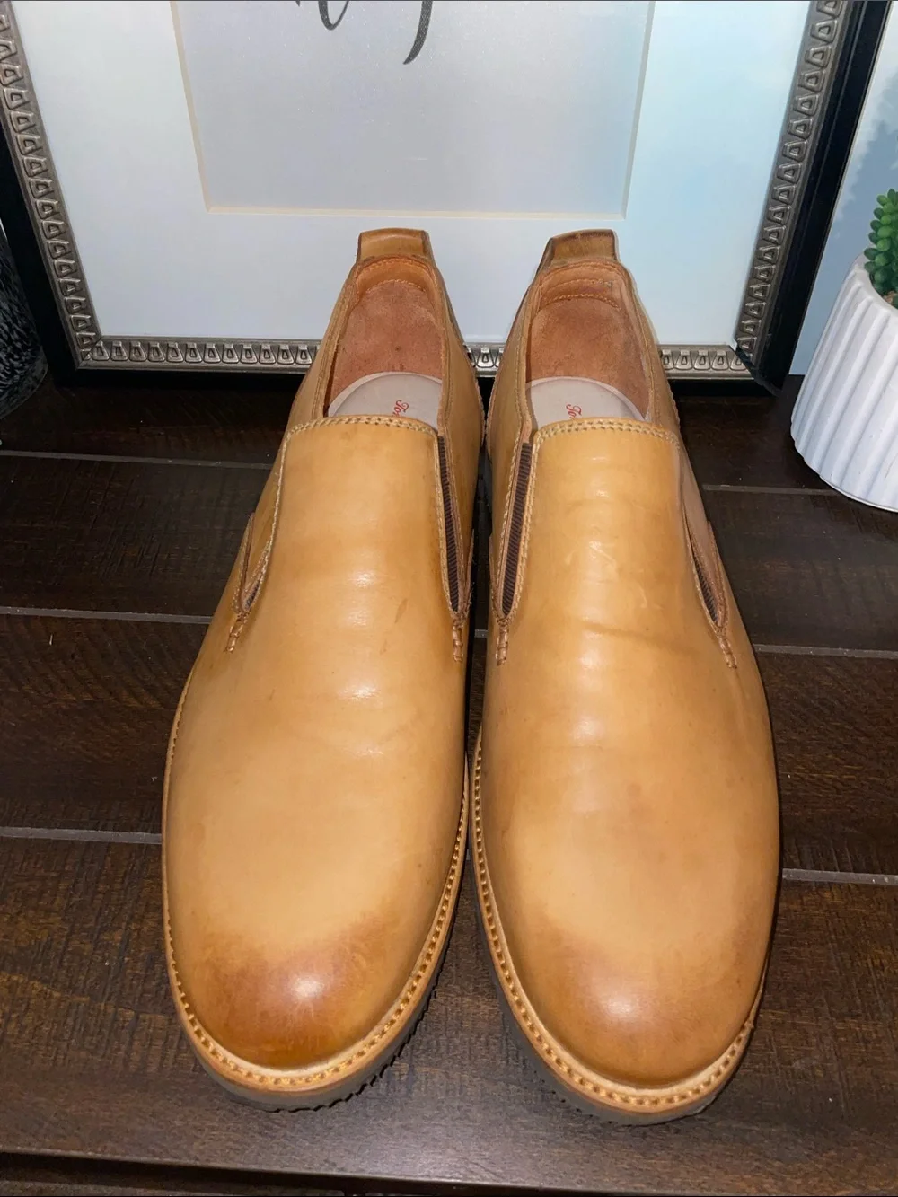 Tommy Bahama tommy bahama